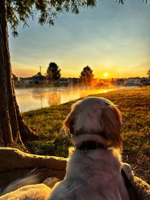 Pine Ridge RV Park and Guest House Picture 5