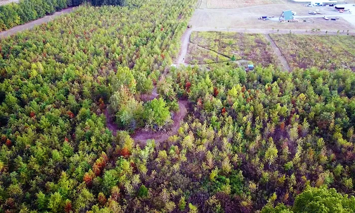 Pine Ridge RV Park and Guest House Picture 7