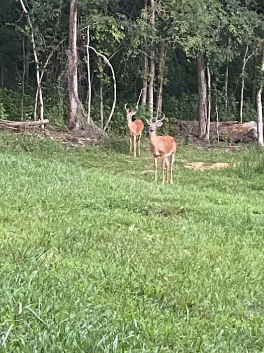 Pine Ridge RV Park and Guest House Picture 11