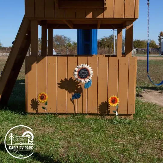 Cadiz RV Park Picture 5