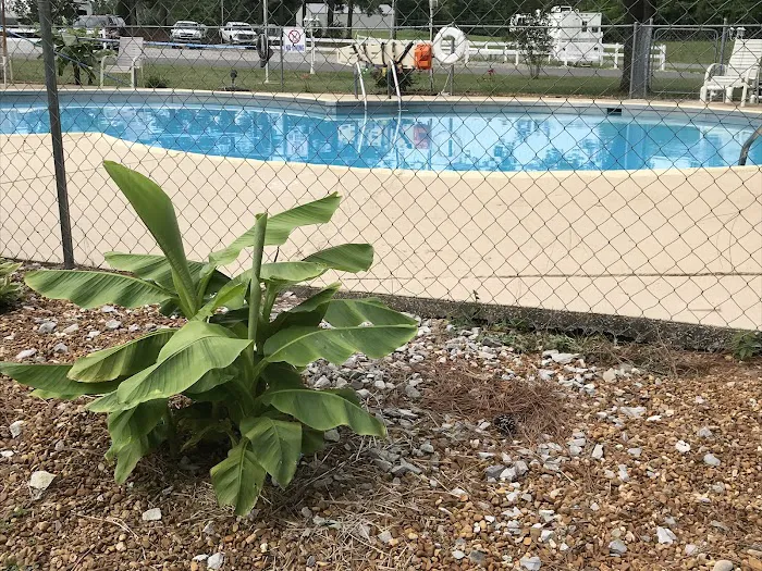 Outback RV Resort, Inc Picture 2