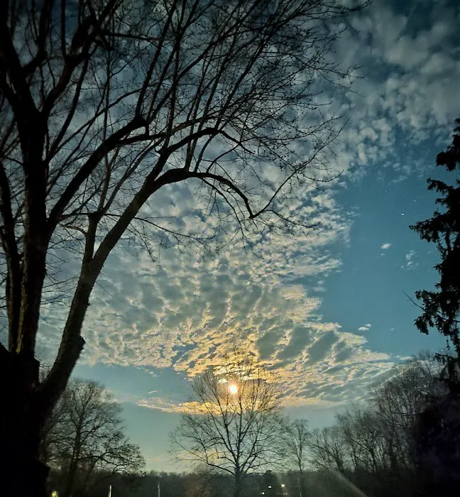 Larson Landing Picture 3