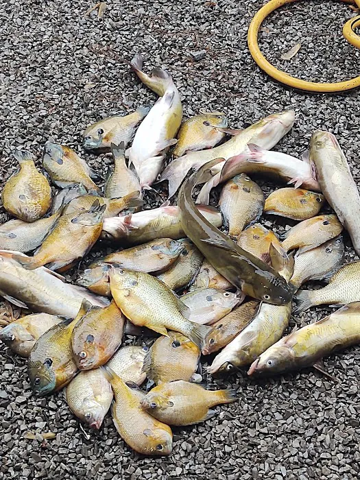 Larson Landing Picture 4