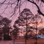 Green Village Mobile Home Park