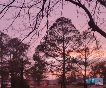 Green Village Mobile Home Park