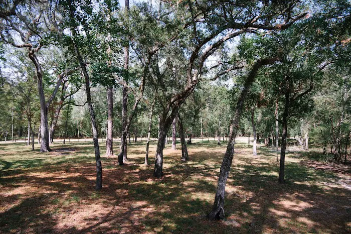Suwannee RV Campground Retreat Picture 2