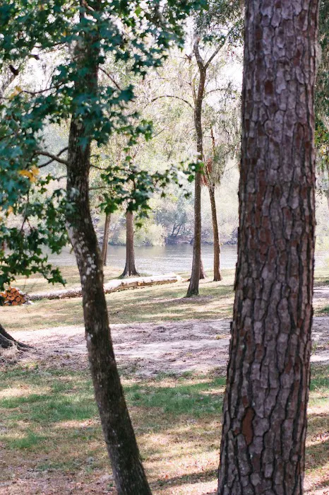 Suwannee RV Campground Retreat Picture 6