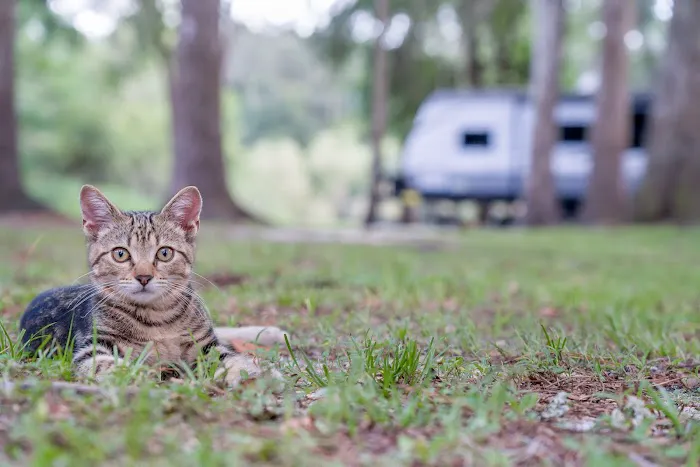 Suwannee RV Campground Retreat Picture 10