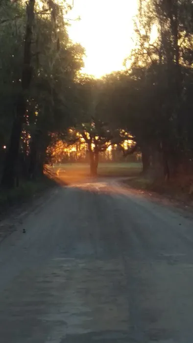 October Bend RV Park Picture 2