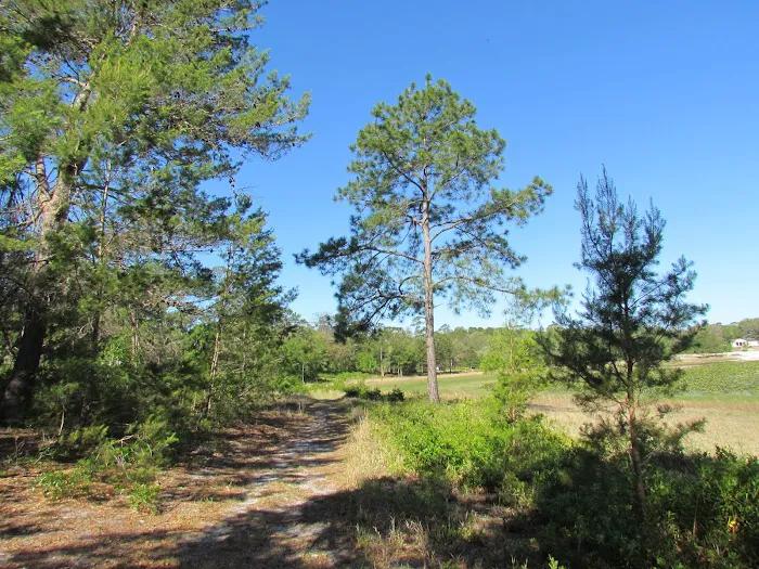 October Bend RV Park Picture 10
