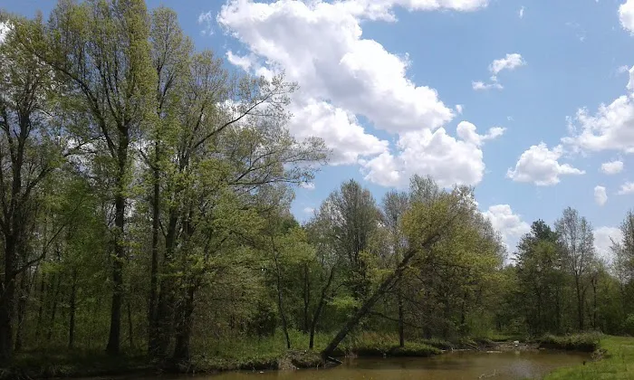 Duck Creek RV Park Picture 10