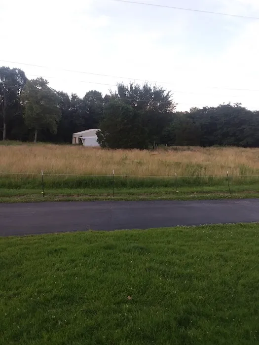 Southwood Pointe Mobile Home Park Picture 4