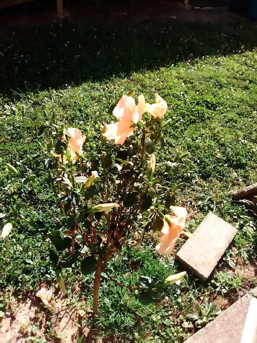 Southwood Pointe Mobile Home Park Picture 6