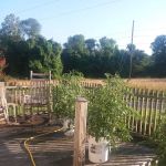 Southwood Pointe Mobile Home Park