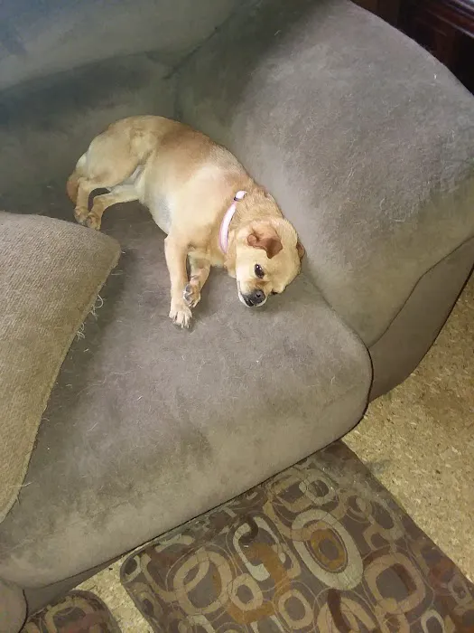 Southwood Pointe Mobile Home Park Picture 9