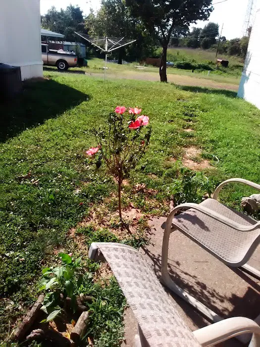 Southwood Pointe Mobile Home Park Picture 8