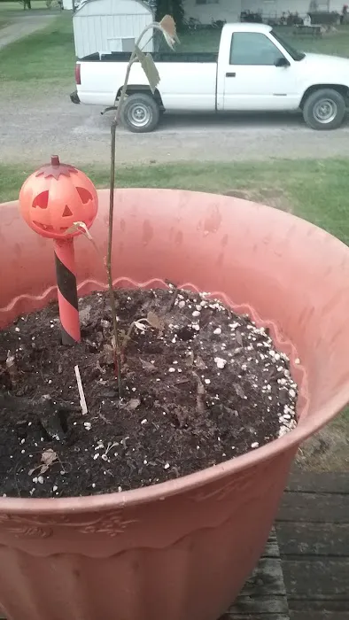 Dakota Pointe Mobile Home Park Picture 1