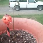 Dakota Pointe Mobile Home Park