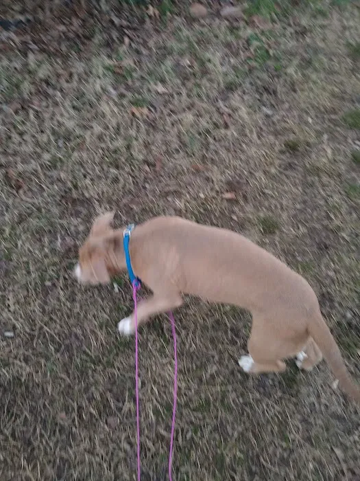 Country Aire Moble Home Park Picture 6