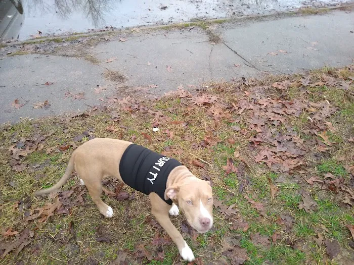 Country Aire Moble Home Park Picture 4