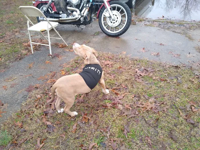 Country Aire Moble Home Park Picture 5