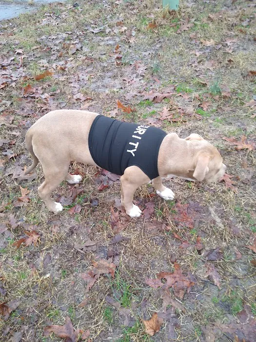 Country Aire Moble Home Park Picture 3