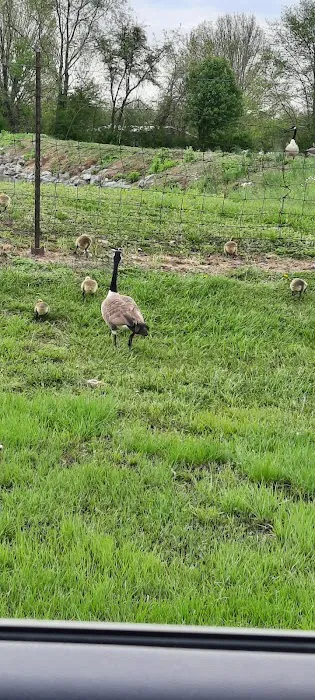 Westridge Pointe Mobile Home Park Picture 6