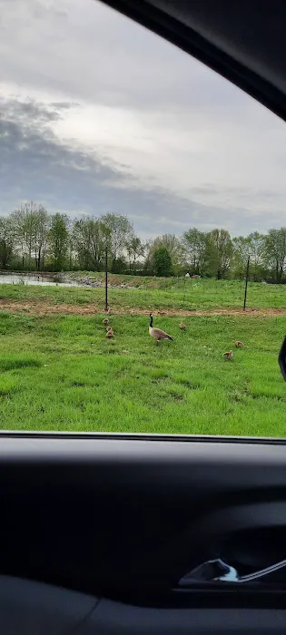 Westridge Pointe Mobile Home Park Picture 3