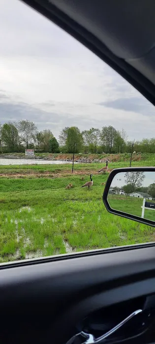 Westridge Pointe Mobile Home Park Picture 9