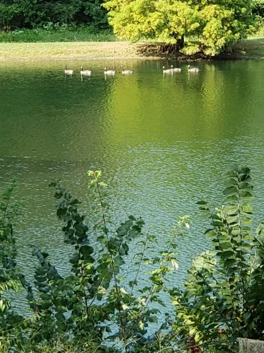 Fern Lake Campground Picture 5