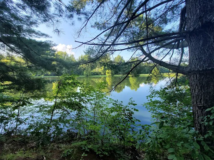 Fern Lake Campground Picture 8