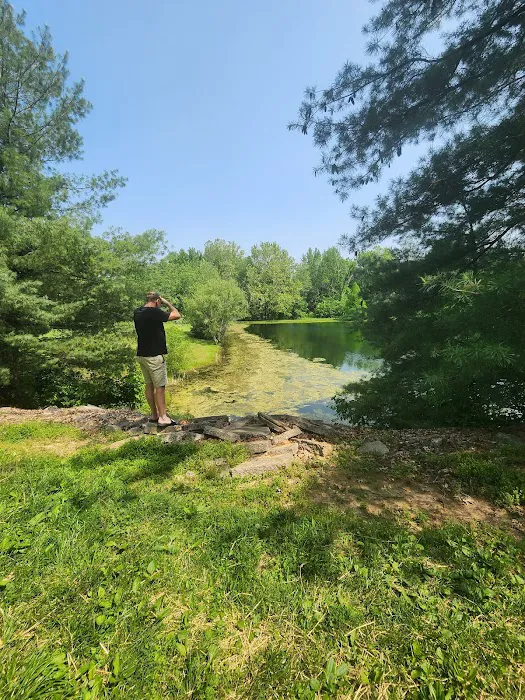 Fern Lake Campground Picture 10