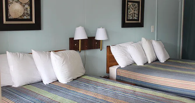 Kentucky Lake Resort and RV Park Picture 2