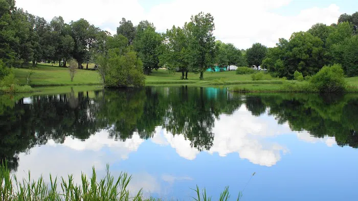 Kentucky Lake Resort and RV Park Picture 4