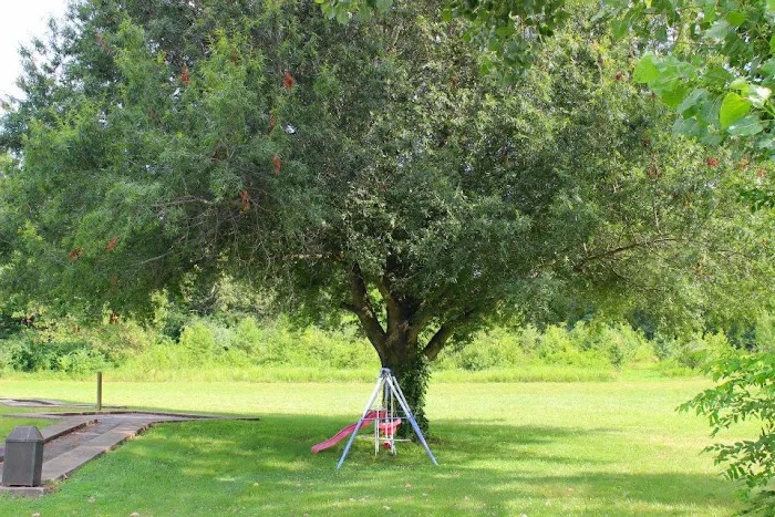 Kentucky Lake Resort and RV Park Picture 10