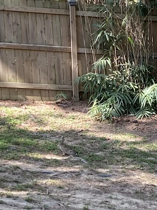 RidgeRdRvPark L.L.C. Picture 1