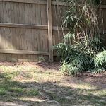 RidgeRdRvPark L.L.C.