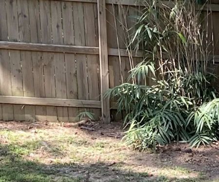 RidgeRdRvPark L.L.C.