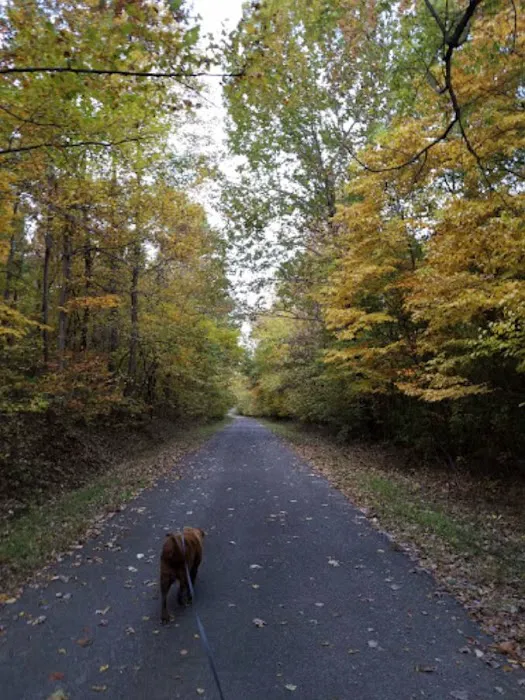 Tween the Lakes RV Park & Campground Picture 3