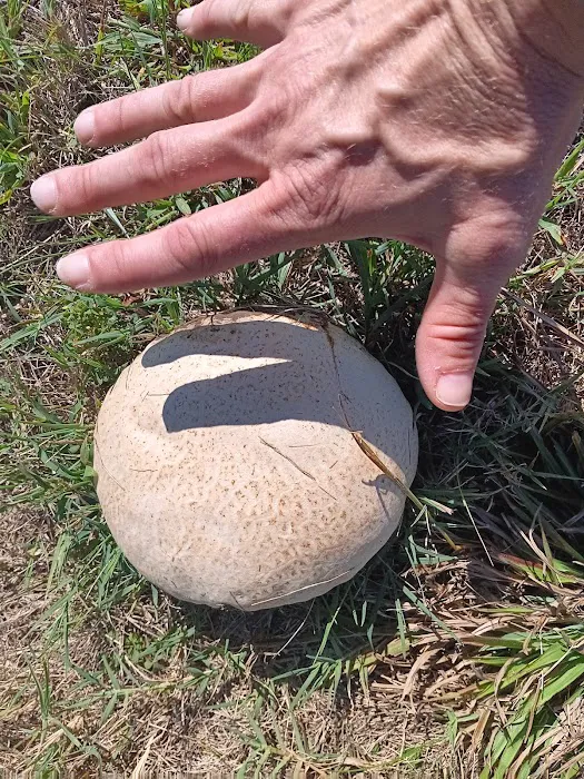 Bar X Mobile Home Park Picture 1