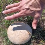 Bar X Mobile Home Park