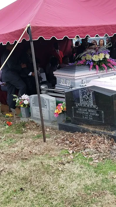 Ashwood Village Picture 3