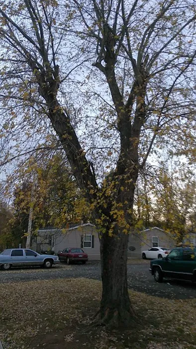 Ashwood Village Picture 5