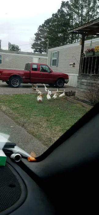 Pine Grove Mobile Home Park Picture 5