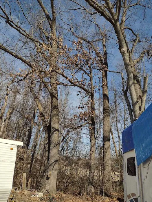 Twin Circle Park Picture 1