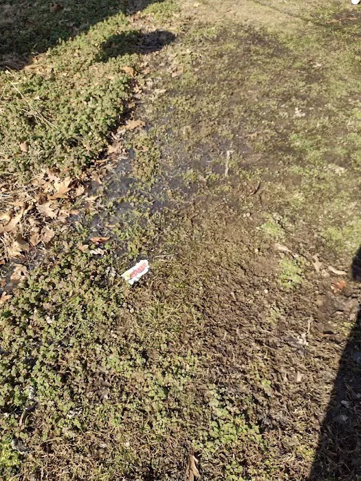 Twin Circle Park Picture 4