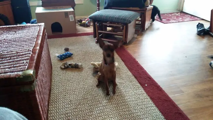 Mallard Ridge Mobile Estates Picture 9