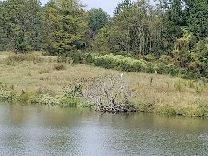 Navy Lakes RV Park & Recreation Event Center Picture 7