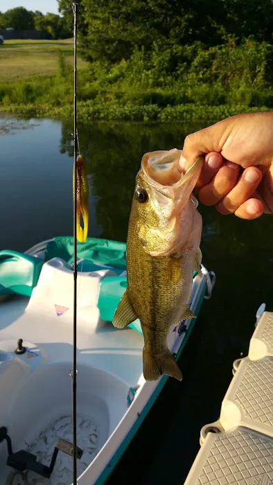 Navy Lakes RV Park & Recreation Event Center Picture 5