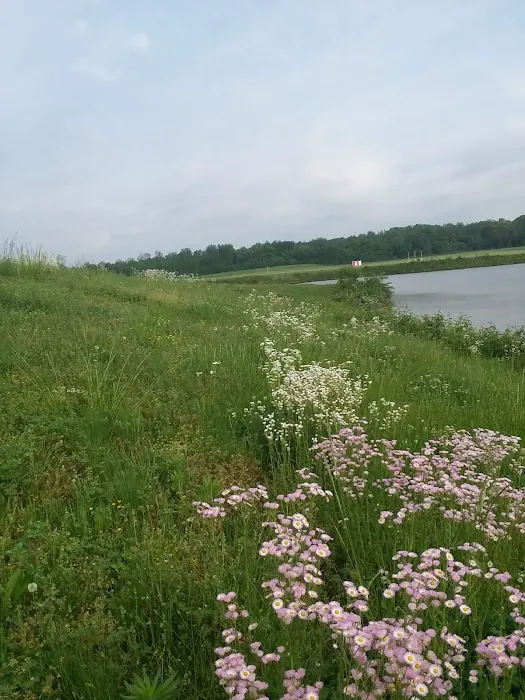 Navy Lakes RV Park & Recreation Event Center Picture 3